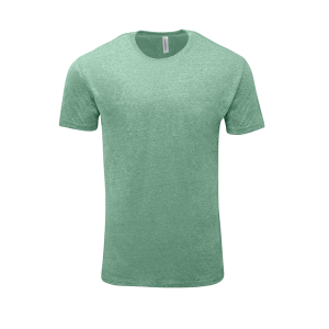 Threadfast Apparel Unisex Triblend Short-Sleeve T-Shirt